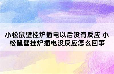 小松鼠壁挂炉插电以后没有反应 小松鼠壁挂炉插电没反应怎么回事